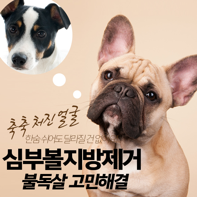 불독살제거로 턱선정리 성공~♡ 관련 이미지 1