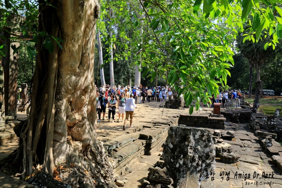 <캄보디아/앙코르와트 자유여행> 3박5일 두근두근!! - Bayon 바이욘사원 #1 /Angkor Thom 앙코르 톰 : 둘쨰날 (2013.12.20 ) 관련 이미지 16