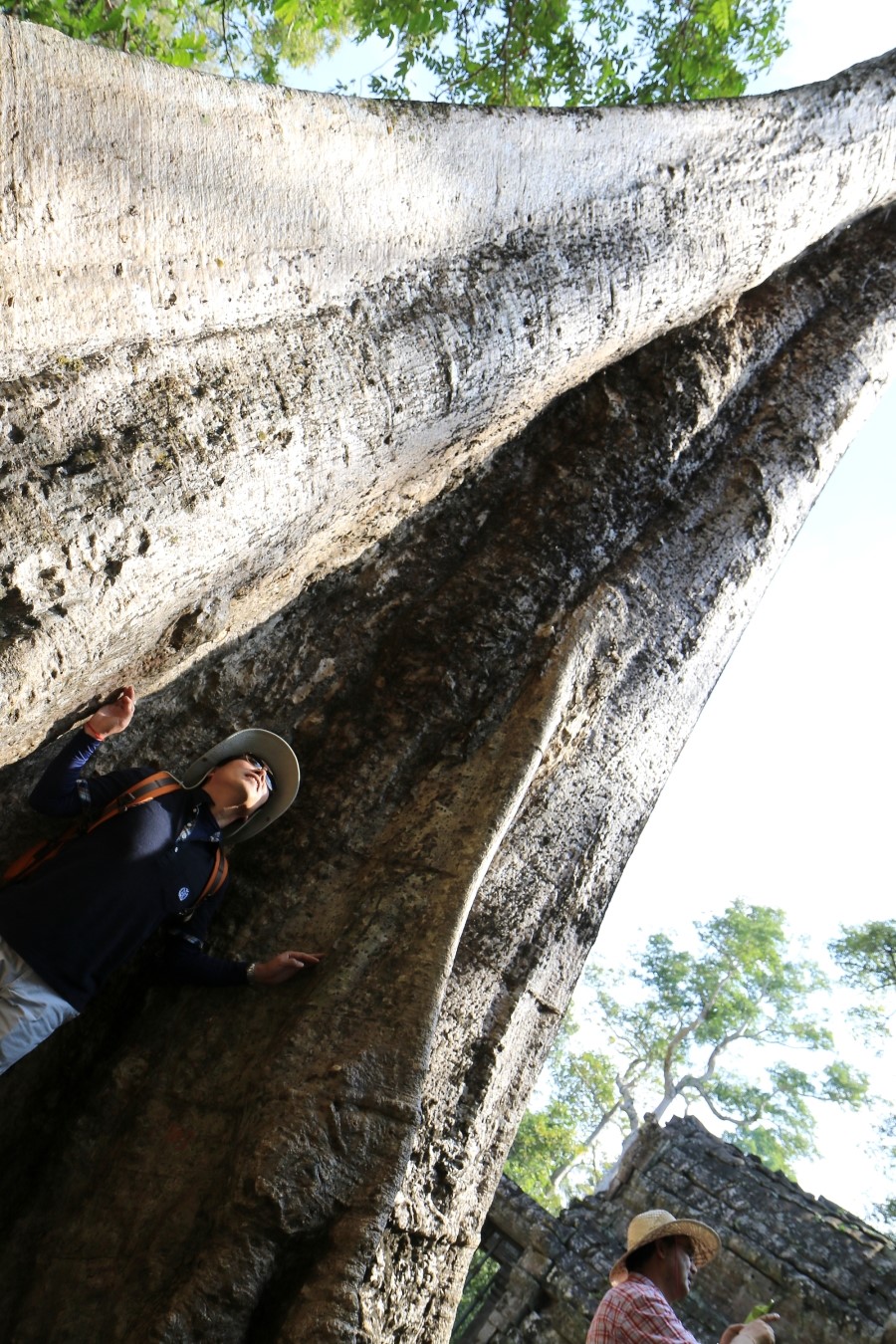 <캄보디아/앙코르와트 자유여행> 3박5일 두근두근!! - TA PROHM 타 프롬 : 세쨰날 (2013.12.21 ) 관련 이미지 21
