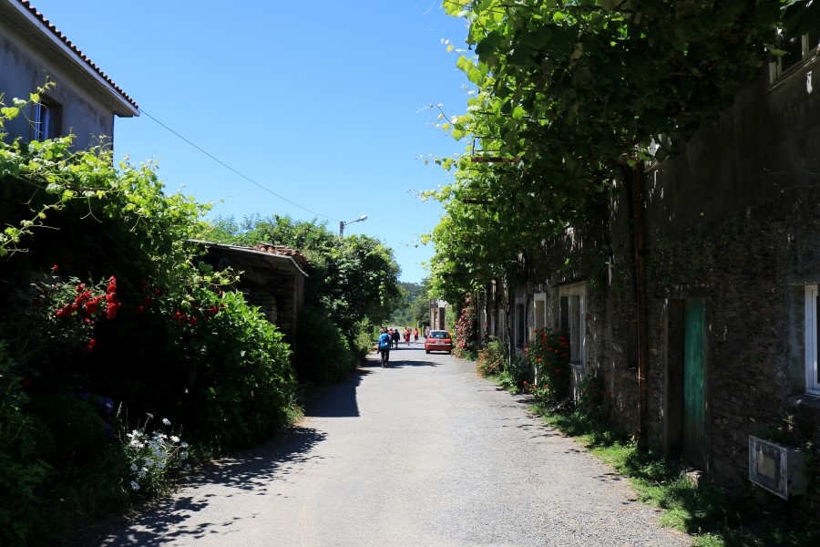 camino de santiago 카미노 데 산티아고 # 4일째-이어지는 길..Arzua ~ Lavacolla 28.3 km...2014.7.21 관련 이미지 24