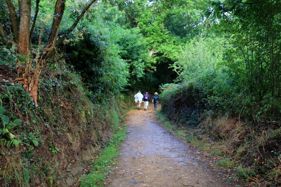 산티아고 가는길(camino de santiago 2014) #6-1 포르토마린 Portomarin ~ 팔레스 데 레이 Palas de Rei 2014.7.19 관련 이미지 11