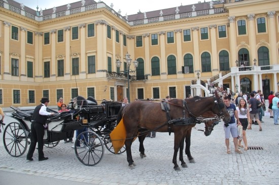 빈...Schloss Schonbrunn 쉰부룬궁전 - 4 & 임페리얼투어  # 2011.8.2. 관련 이미지 5