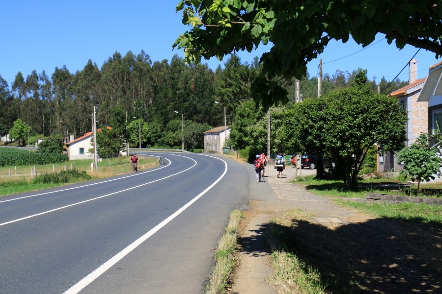 camino de santiago 카미노 데 산티아고 # 4일째-이어지는 길..Arzua ~ Lavacolla 28.3 km...2014.7.21 관련 이미지 9
