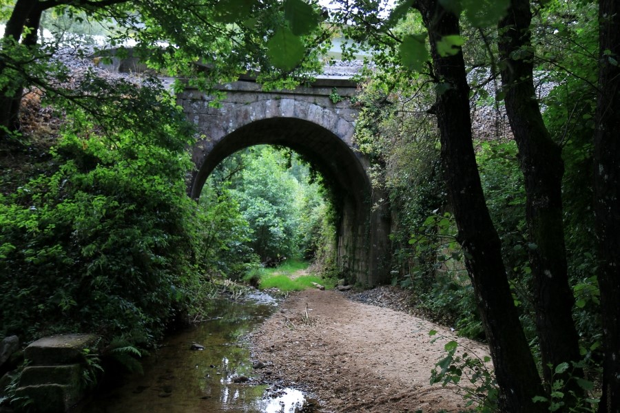 산티아고 가는길(camino de santiago 2014) : 사리아(sarria)에서 시작하기..#4-1 사리아 Sarria ~ portomarin 2014.7.18 관련 이미지 20