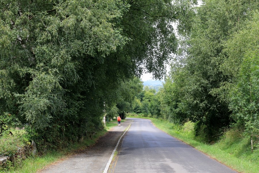 산티아고 가는길(camino de santiago 2014) #6-2 포르토마린 Portomarin ~ 팔레스 데 레이 Palas de Rei 2014.7.19 관련 이미지 20