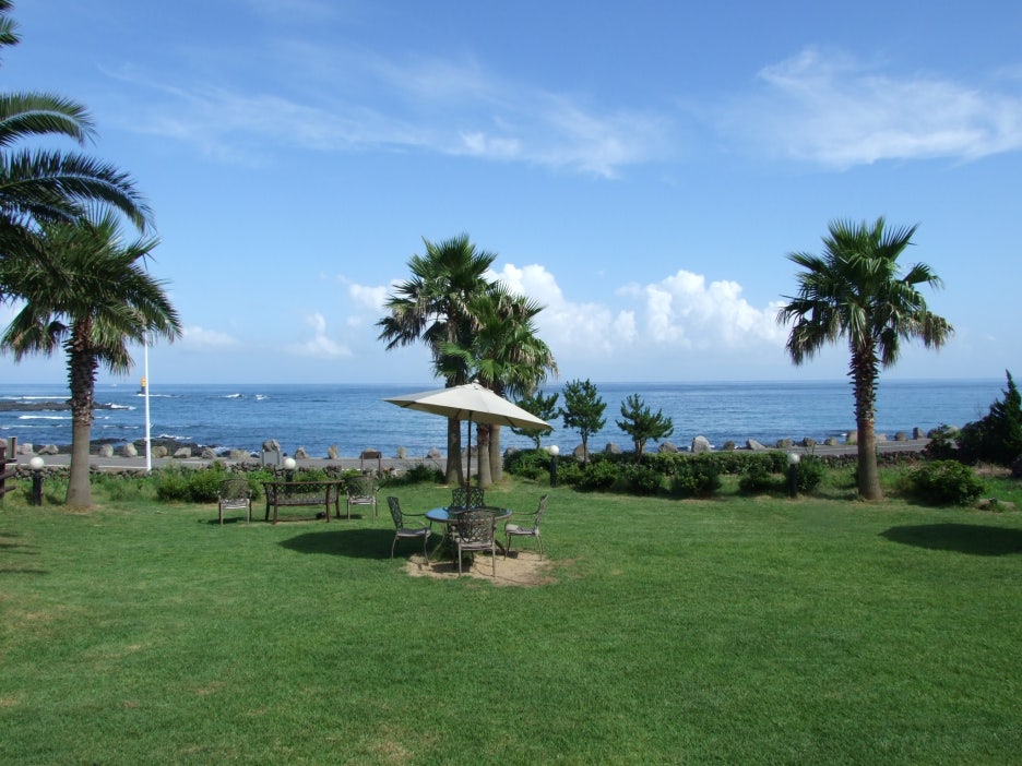 올리브펜션 인 제주도...2008년 여름 관련 이미지 2