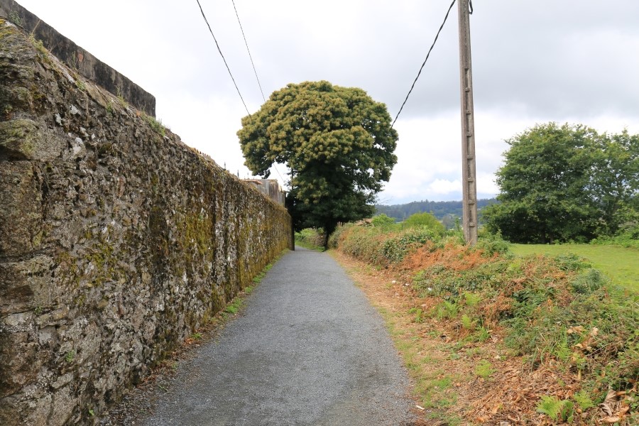 camino de santiago 카미노 데 산티아고 # 3일째-그다음이야기 ..Palas de rei ~ Arzua 28.9 km...2014.7.20 관련 이미지 22