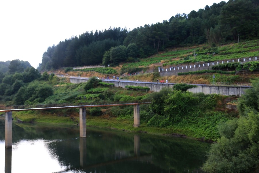 산티아고 가는길(camino de santiago 2014) #6-1 포르토마린 Portomarin ~ 팔레스 데 레이 Palas de Rei 2014.7.19 관련 이미지 9