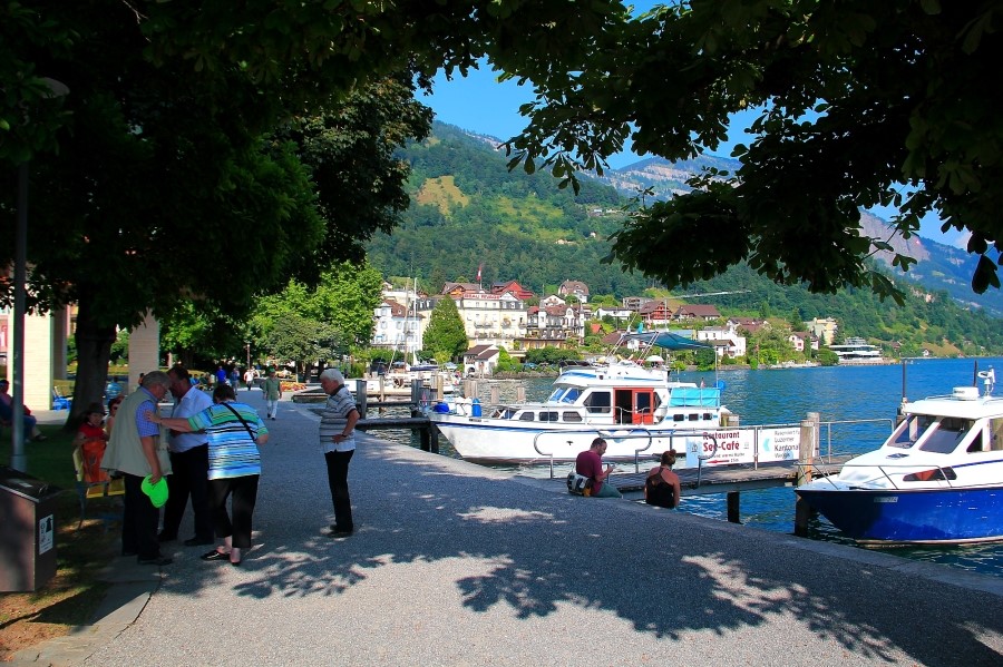 Rigi Kulm  to Weggis 리기쿨름에서 베기스로 : 2013 관련 이미지 17
