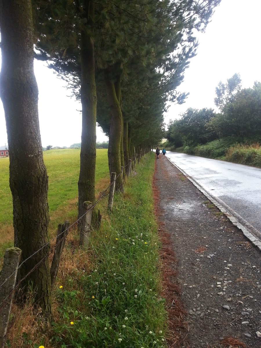 산티아고 가는길(camino de santiago 2014) #6-2 포르토마린 Portomarin ~ 팔레스 데 레이 Palas de Rei 2014.7.19 관련 이미지 43