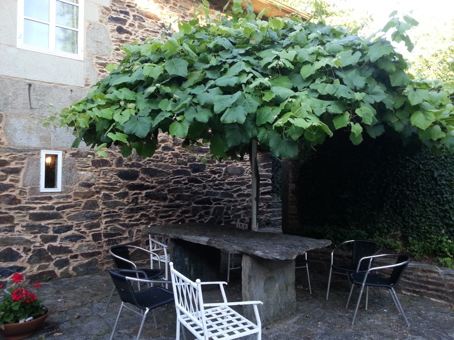 Camino de santiago 카미노 데 산티아고 : 사리아에서 시작한 5일간의 카미노 일정 및 숙소 리뷰.. 2014.7.16~24 관련 이미지 24