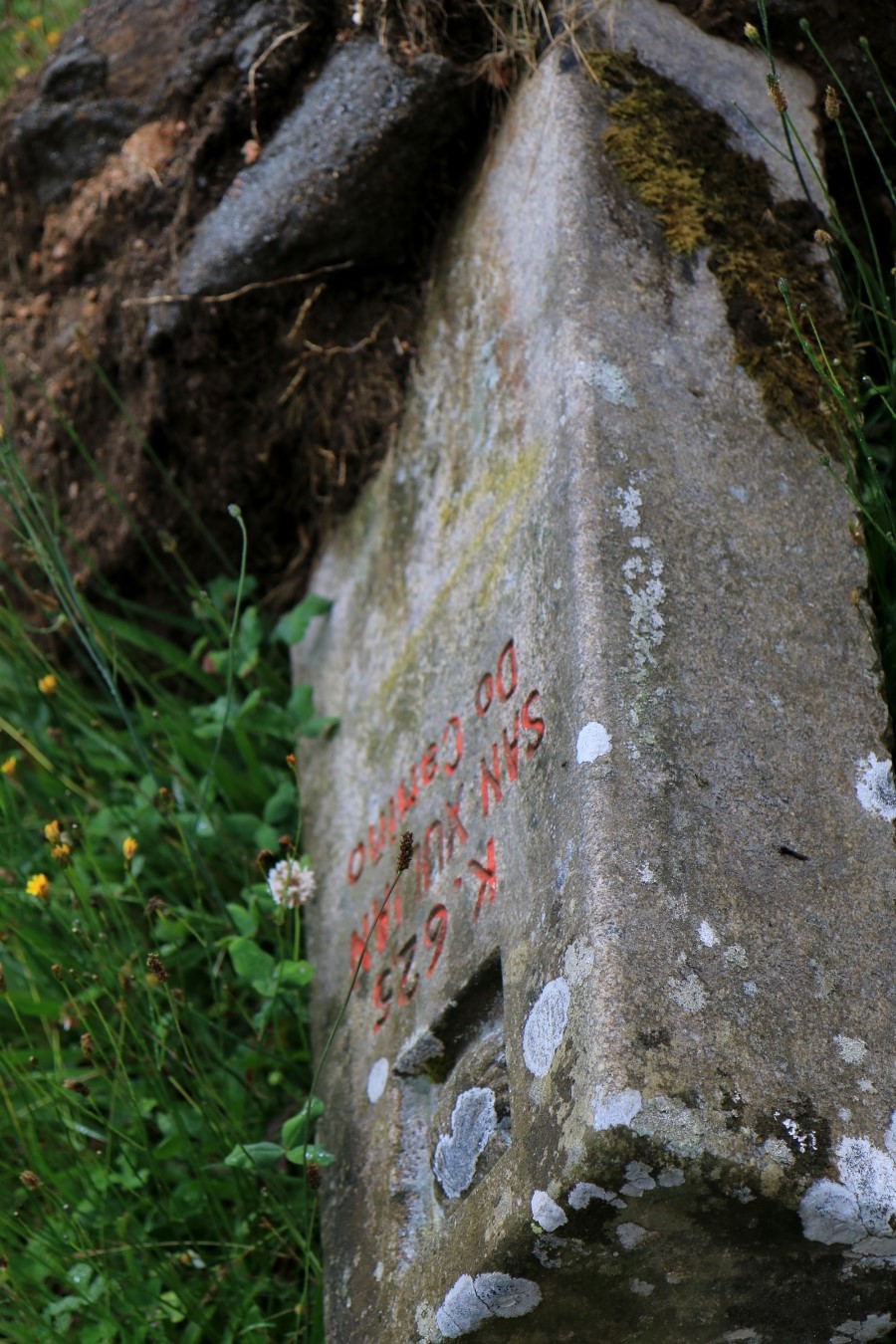 camino de santiago 카미노 데 산티아고 # 3일째..Palas de rei ~ Arzua 28.9 km...2014.7.20 관련 이미지 13