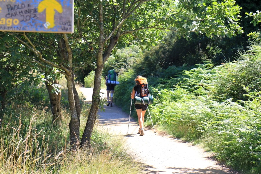 camino de santiago 카미노 데 산티아고 # 4일째-라바꼬야까지..Arzua ~ Lavacolla 28.3 km...2014.7.21 관련 이미지 21