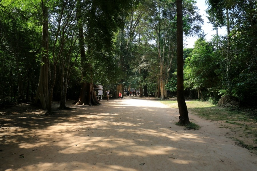 <캄보디아/앙코르와트 자유여행> 3박5일 두근두근!! - TA PROHM 타 프롬 : 세쨰날 (2013.12.21 ) 관련 이미지 5