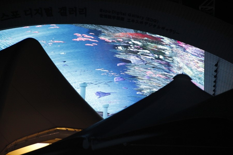 여수엑스포 관람기1 : 여수엑스포역 2012.7.20 관련 이미지 12