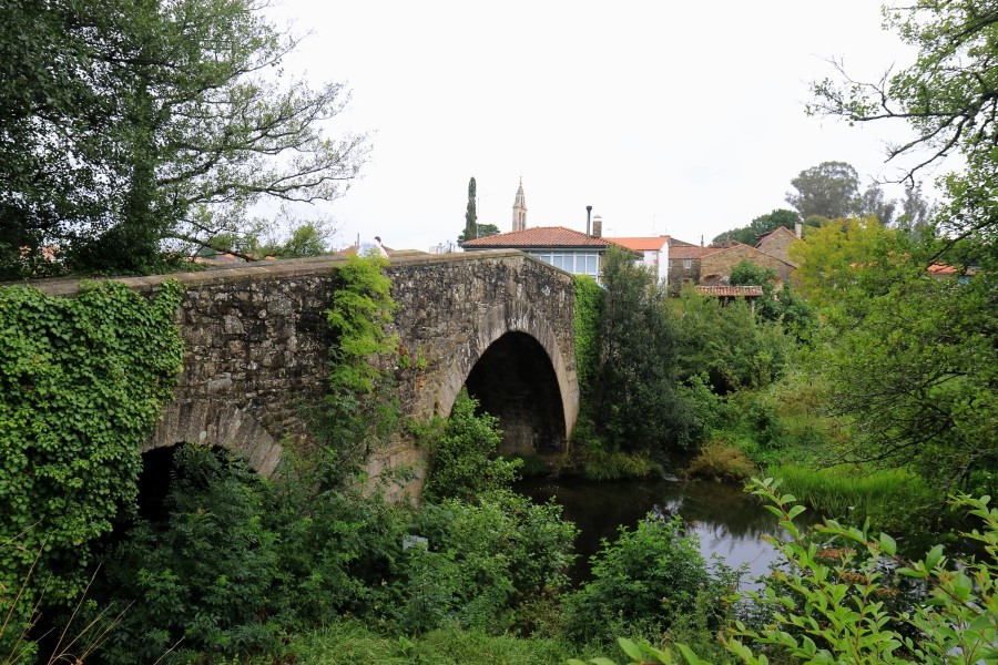 camino de santiago 카미노 데 산티아고 # 3일째-그다음이야기 ..Palas de rei ~ Arzua 28.9 km...2014.7.20 관련 이미지 1