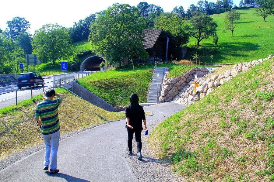 Rigi Kulm  to Weggis 리기쿨름에서 베기스로 : 2013 관련 이미지 7