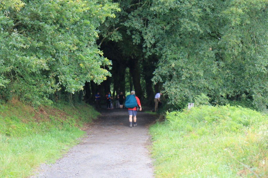 camino de santiago 카미노 데 산티아고 # 3일째..Palas de rei ~ Arzua 28.9 km...2014.7.20 관련 이미지 18