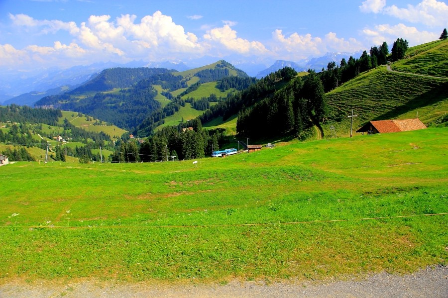 Rigi Kulm  to Weggis 리기쿨름에서 베기스로 : 2013 관련 이미지 2