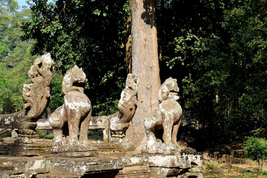 <캄보디아/앙코르와트 자유여행> 3박5일 두근두근!! - Bayon 바이욘사원 #1 /Angkor Thom 앙코르 톰 : 둘쨰날 (2013.12.20 ) 관련 이미지 3