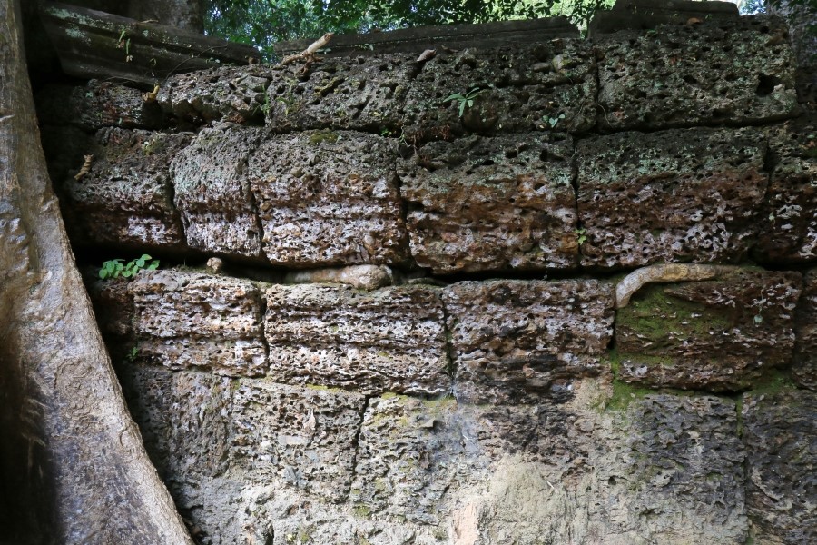 <캄보디아/앙코르와트 자유여행> 3박5일 두근두근!! - TA PROHM 타 프롬 : 세쨰날 (2013.12.21 ) 관련 이미지 39
