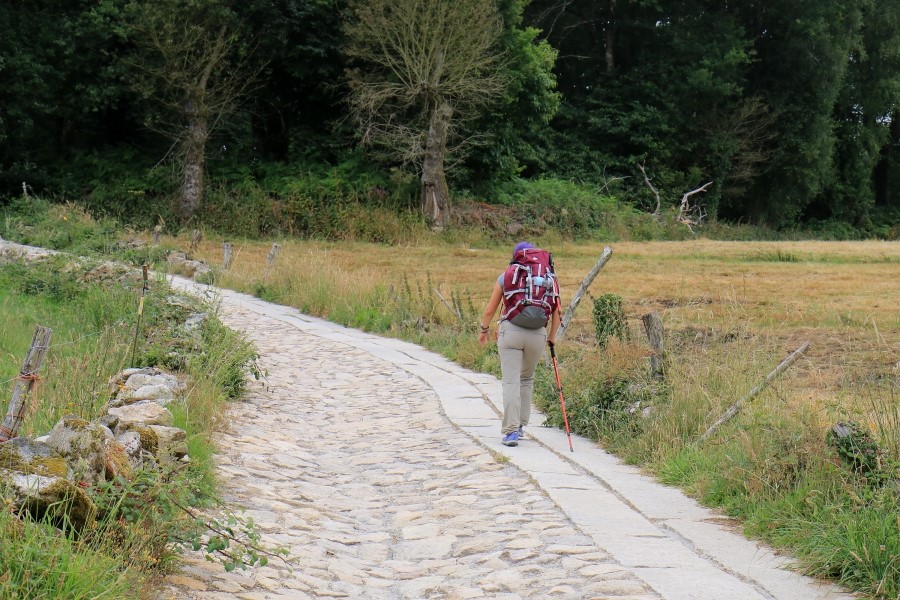 산티아고 가는길(camino de santiago 2014) : 사리아(sarria)에서 시작하기..#4-1 사리아 Sarria ~ portomarin 2014.7.18 관련 이미지 41