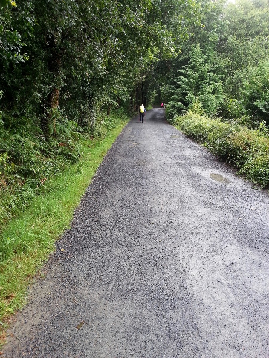camino de santiago 카미노 데 산티아고 # 3일째..Palas de rei ~ Arzua 28.9 km...2014.7.20 관련 이미지 33
