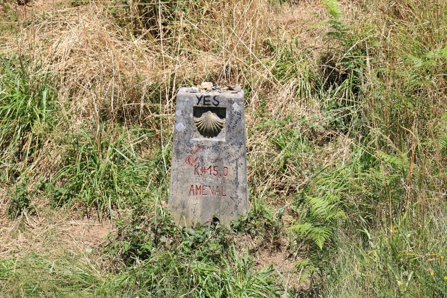 camino de santiago 카미노 데 산티아고 # 4일째-라바꼬야까지..Arzua ~ Lavacolla 28.3 km...2014.7.21 관련 이미지 7