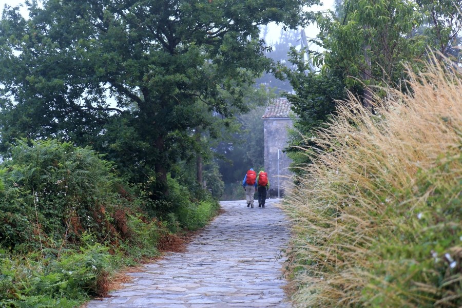 camino de santiago 카미노 데 산티아고 # 3일째..Palas de rei ~ Arzua 28.9 km...2014.7.20 관련 이미지 7