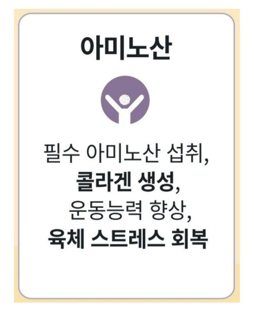 IVNT 수액치료에 사용되는 약제들과 각각의 효능&rarr;마그네슘,아미노산 관련 이미지 2