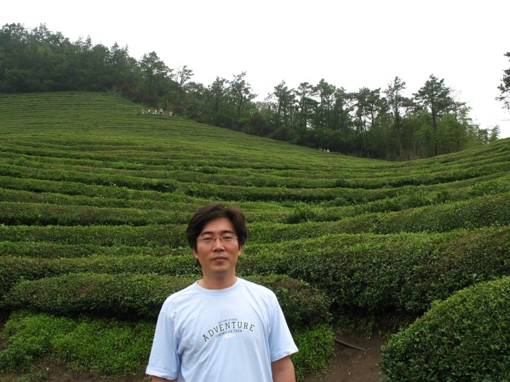 보성 녹차밭 나들이....2006년 7월.. 관련 이미지 5