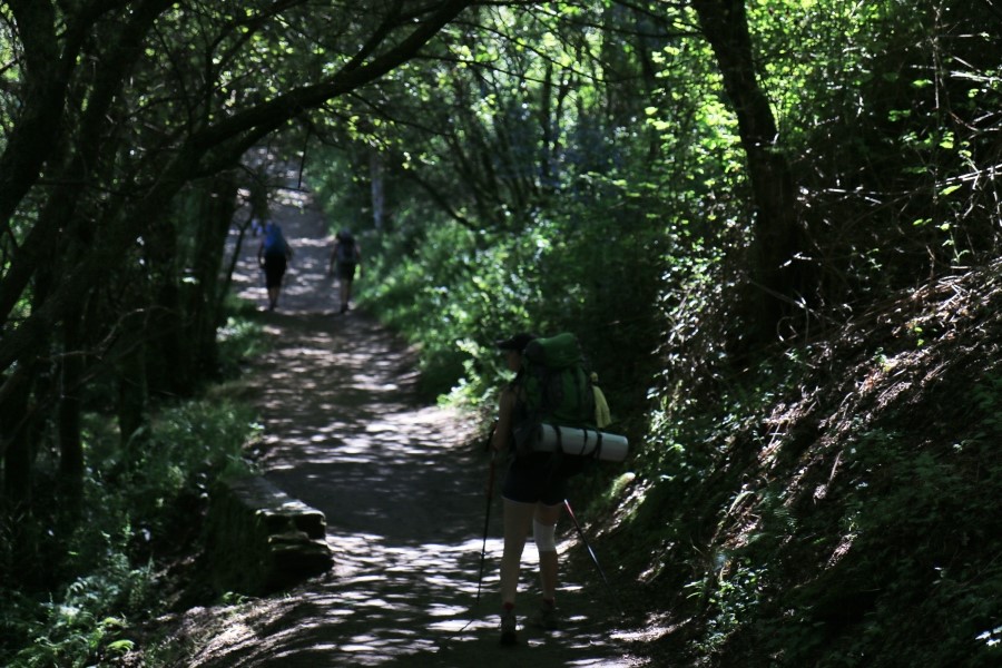 camino de santiago 카미노 데 산티아고 # 4일째-라바꼬야까지..Arzua ~ Lavacolla 28.3 km...2014.7.21 관련 이미지 20