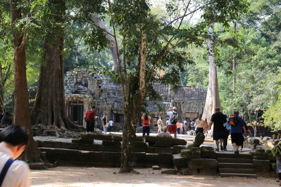 <캄보디아/앙코르와트 자유여행> 3박5일 두근두근!! - TA PROHM 타 프롬 : 세쨰날 (2013.12.21 ) 관련 이미지 10