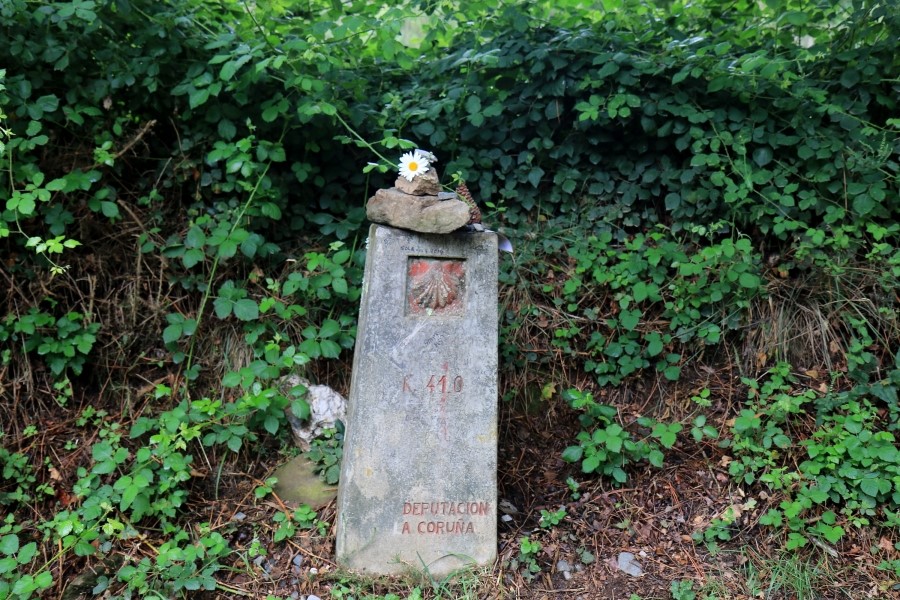 camino de santiago 카미노 데 산티아고 # 3일째-그다음이야기 ..Palas de rei ~ Arzua 28.9 km...2014.7.20 관련 이미지 48