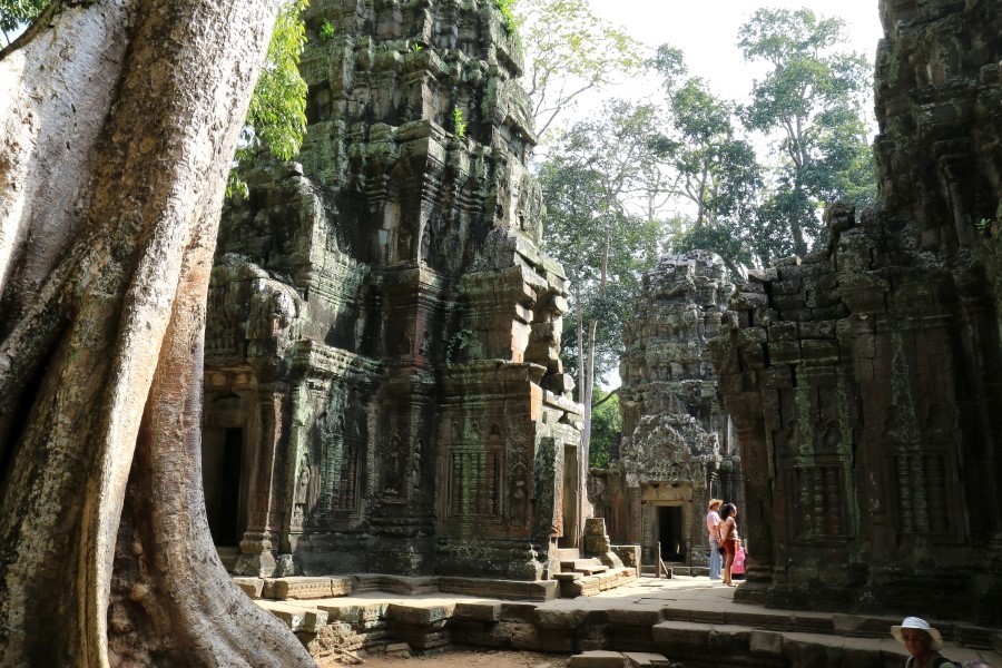 <캄보디아/앙코르와트 자유여행> 3박5일 두근두근!! - TA PROHM 타 프롬 : 세쨰날 (2013.12.21 ) 관련 이미지 33