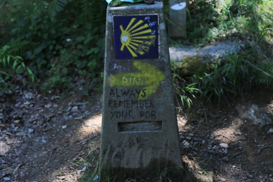 camino de santiago 카미노 데 산티아고 # 4일째-라바꼬야까지..Arzua ~ Lavacolla 28.3 km...2014.7.21 관련 이미지 24