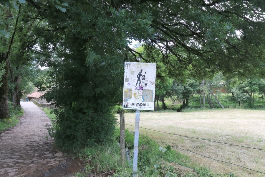 camino de santiago 카미노 데 산티아고 # 3일째-그다음이야기 ..Palas de rei ~ Arzua 28.9 km...2014.7.20 관련 이미지 51