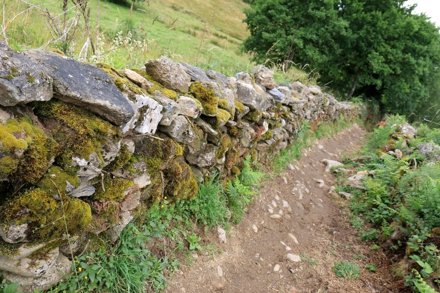 산티아고 가는길(camino de santiago 2014) #6-2 포르토마린 Portomarin ~ 팔레스 데 레이 Palas de Rei 2014.7.19 관련 이미지 28