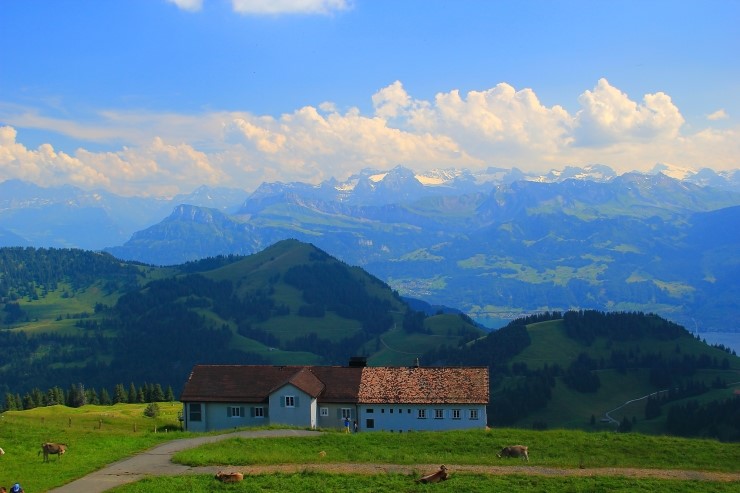 리기 Rigi Kulm - Vitznau to Rigi Kulm 피츠나우에서 리기산 : 2013 관련 이미지 19