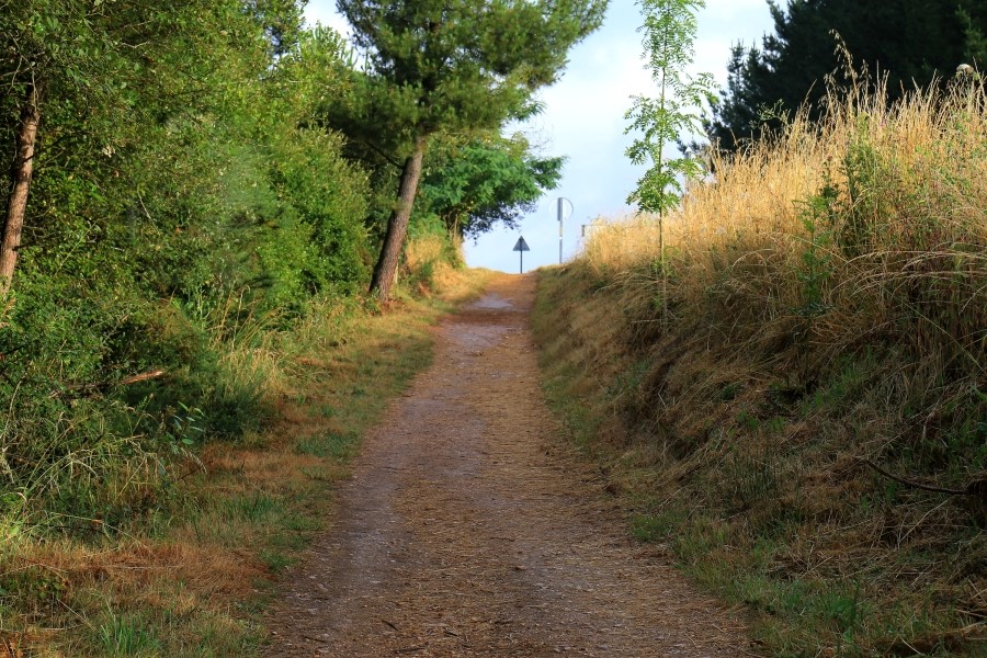 산티아고 가는길(camino de santiago 2014) #6-1 포르토마린 Portomarin ~ 팔레스 데 레이 Palas de Rei 2014.7.19 관련 이미지 16