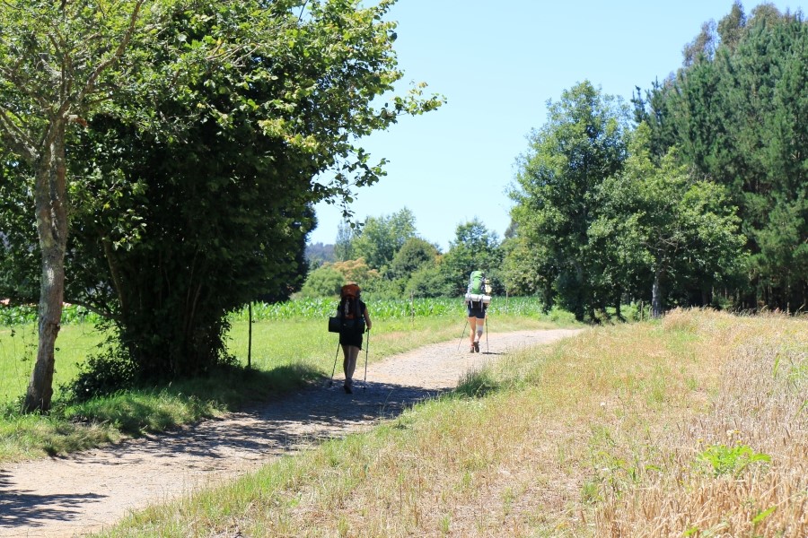 camino de santiago 카미노 데 산티아고 # 4일째-라바꼬야까지..Arzua ~ Lavacolla 28.3 km...2014.7.21 관련 이미지 5