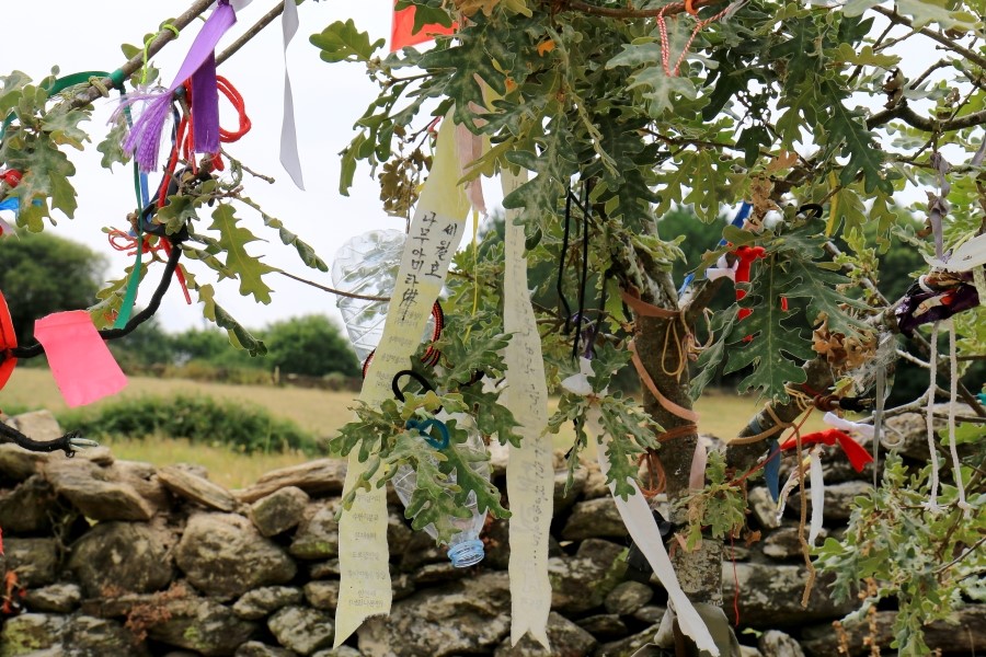 산티아고 가는길(camino de santiago 2014) : 사리아(sarria)에서 시작하기..#4-2 사리아 Sarria ~ portomarin 2014.7.18 관련 이미지 25