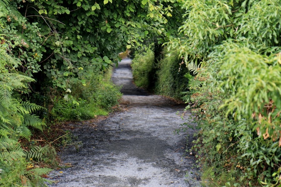 camino de santiago 카미노 데 산티아고 # 3일째-그다음이야기 ..Palas de rei ~ Arzua 28.9 km...2014.7.20 관련 이미지 23
