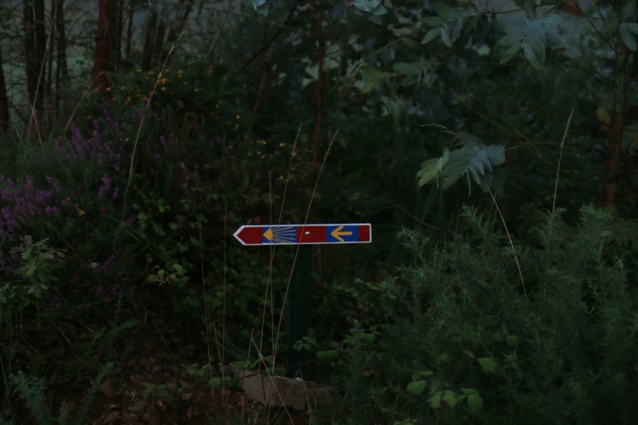 카미노 데 산티아고 : 카미노 사리아에서 시작하기 #5일째..Lavacolla~Santiago de compostela..2014.7.22 관련 이미지 4