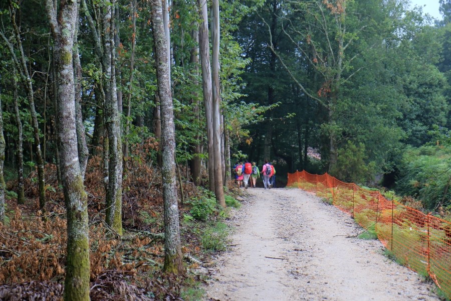 camino de santiago 카미노 데 산티아고 # 3일째..Palas de rei ~ Arzua 28.9 km...2014.7.20 관련 이미지 14