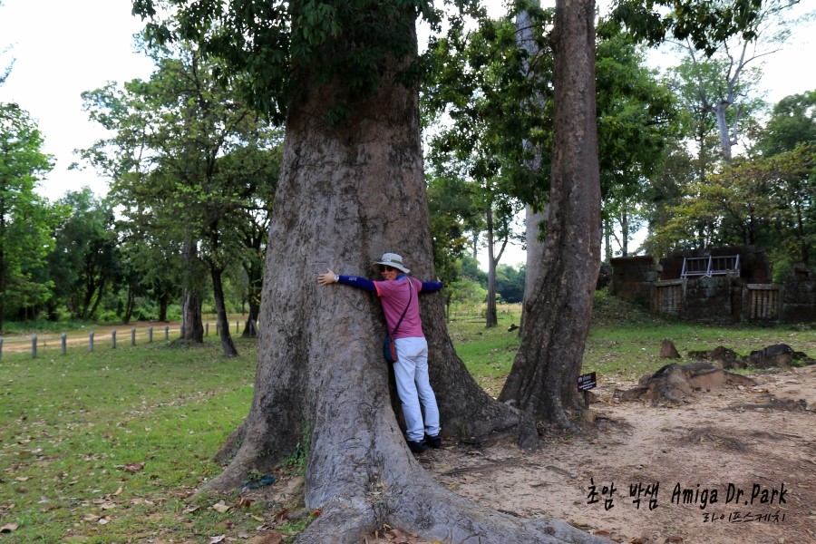 <캄보디아/앙코르와트 자유여행> 3박5일 두근두근!! - Banteay Srei 반띠에이 쓰레이 #2: 첫쨰날 (2013.12.19 ) 관련 이미지 22