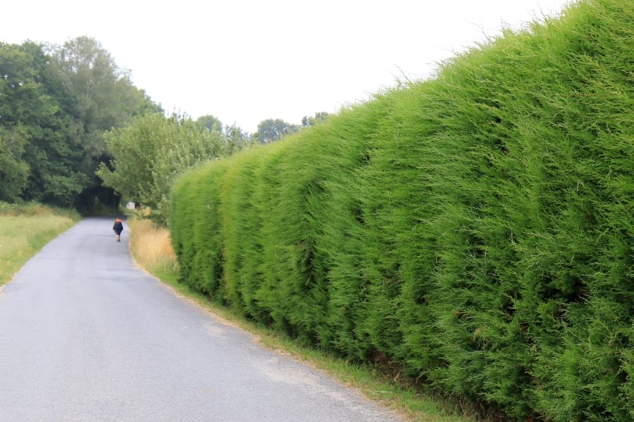 산티아고 가는길(camino de santiago 2014) : 사리아(sarria)에서 시작하기..#4-1 사리아 Sarria ~ portomarin 2014.7.18 관련 이미지 37