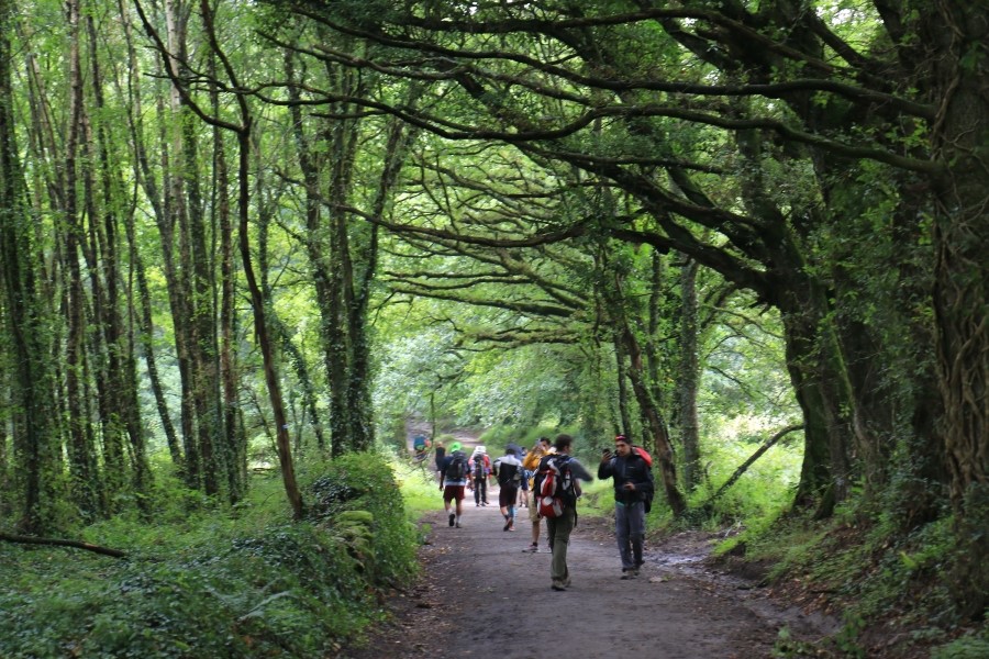 camino de santiago 카미노 데 산티아고 # 3일째..Palas de rei ~ Arzua 28.9 km...2014.7.20 관련 이미지 19