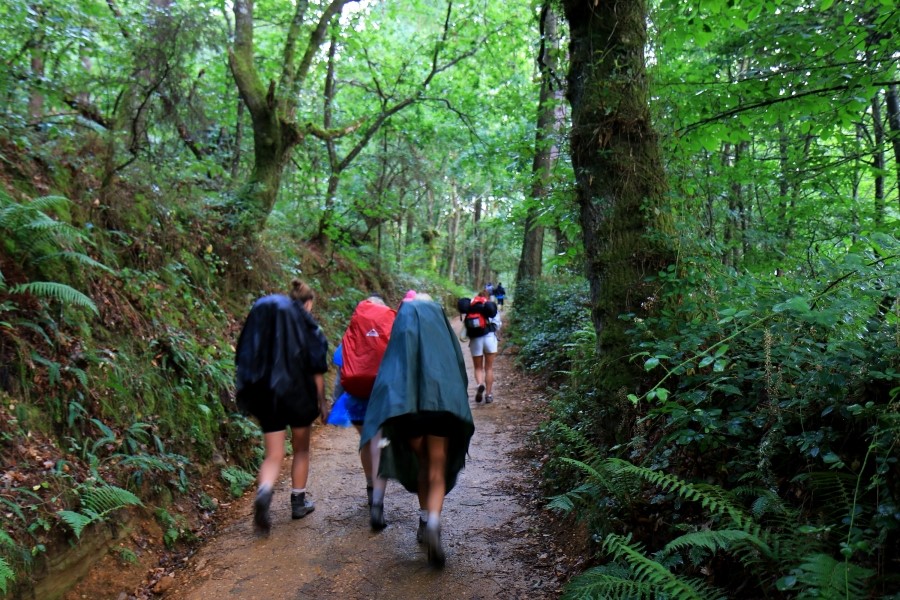 산티아고 가는길(camino de santiago 2014) #6-1 포르토마린 Portomarin ~ 팔레스 데 레이 Palas de Rei 2014.7.19 관련 이미지 12