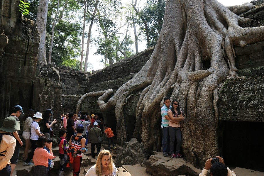 <캄보디아/앙코르와트 자유여행> 3박5일 두근두근!! - TA PROHM 타 프롬 : 세쨰날 (2013.12.21 ) 관련 이미지 32